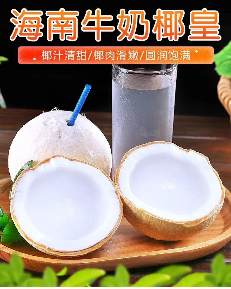 海南椰子新鮮椰青椰白孕婦當(dāng)季水果椰皇毛椰奶椰海南特產(chǎn)現(xiàn)摘