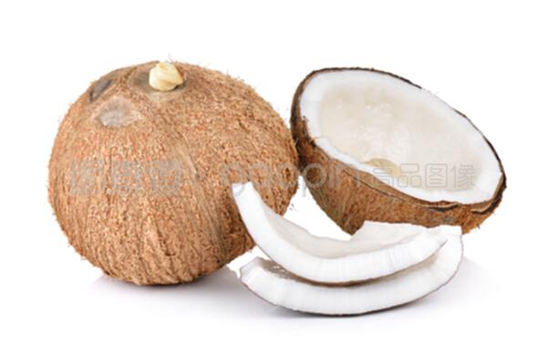 白色背景的椰子